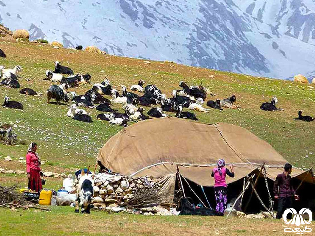 سبک زندگی