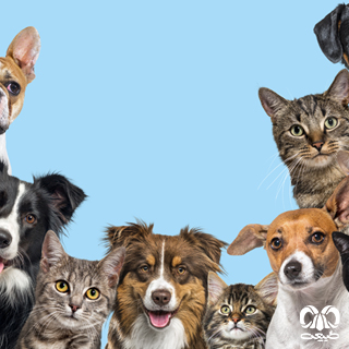 کارگاه همسایه‌های نزدیک ما: از اهلی تا خانگی